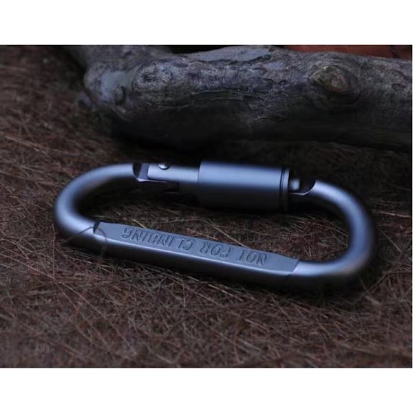 Micro 2 Mini karbinhake med skruvlock, 2-pack