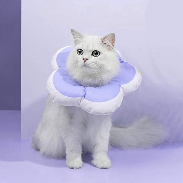 Kattungehalsbånd, polstret kattungehalsbånd med justerbare snorer, Comf