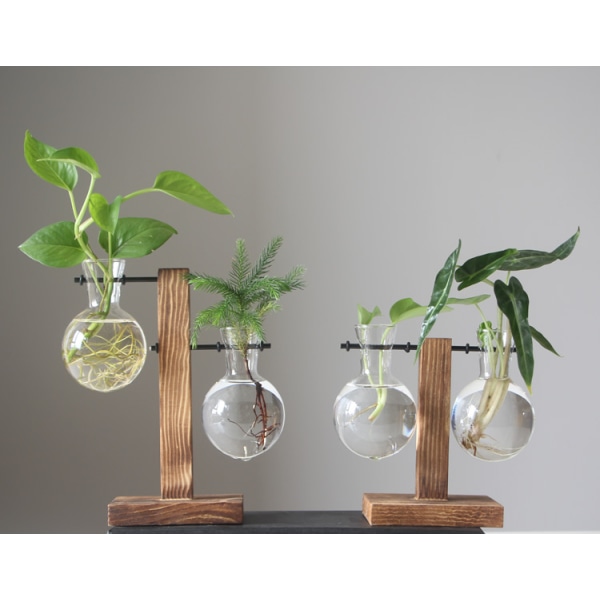 Kreativ treramme hydroponisk vase grønn dillplante gjennomsiktig glass plante blomsterarrangement beholder skrivebordspynt til hjemmedekorasjon