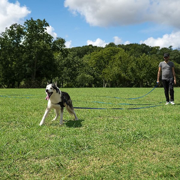 Hundetreningsline for lydighet og innkalling - 1 treningsline