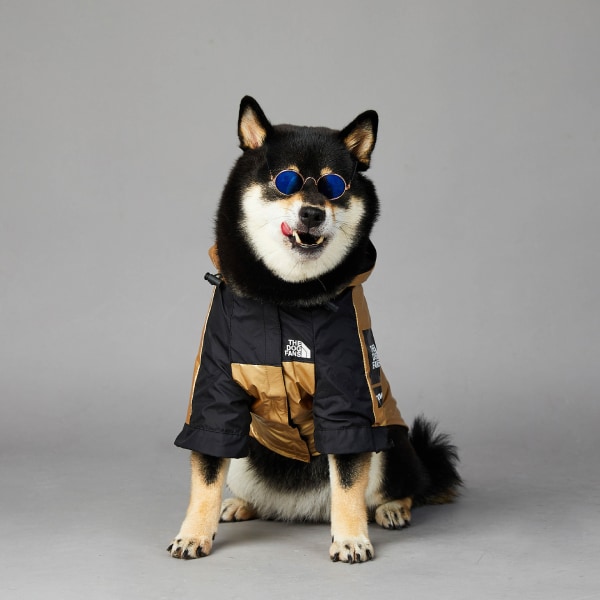 Hundjacka, Pet Jacket, Dog Raincoat-XL