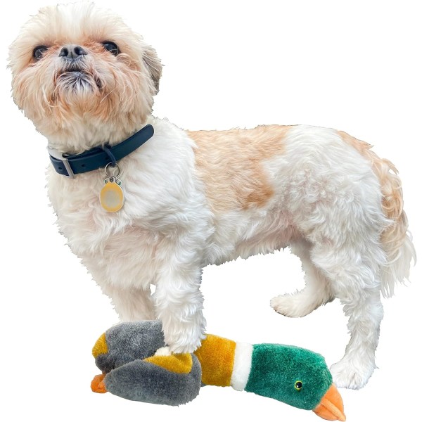 Mjuk hund leksak med pip; 5\" tjock stoppad. Liten / Medium Cu