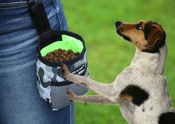 1 st hundvalp träningsgodis bete husdjursfoder ficka påse