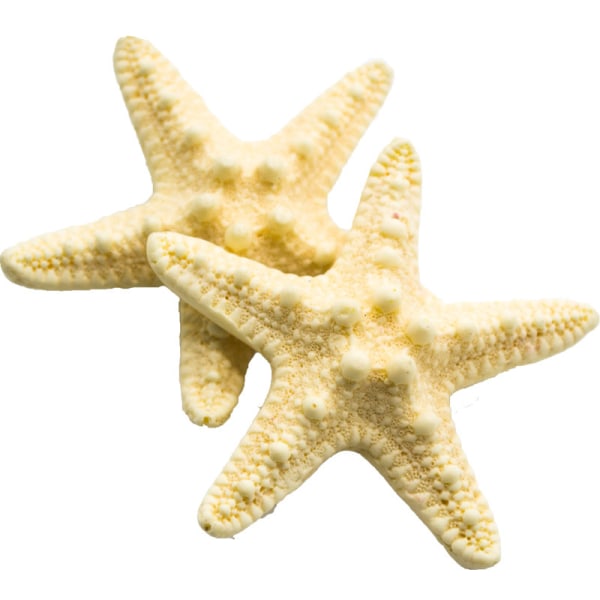 2-pack med Starfish-hårklämmor Mermaid-hårklämmor Harts Pretty Bea