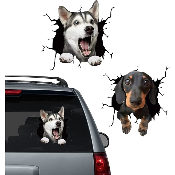 Koiran ikkuna kiinnittyy auton halkeamiin tarrat Lemmikkitarrat Realistinen eläin