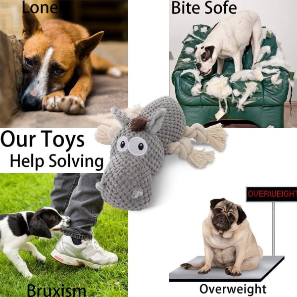 Hunde legetøj, hundeplyslegetøj til store racer, søde squeaky hundelegetøj wi