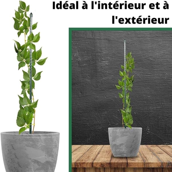 Sats med 10 pinnar för 60 cm växter - Klätterväxt för utomhus/inomhus