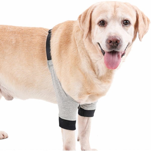 (Grå, L) Hund armbågsskydd frambensskydd justerbar husdjursskydd
