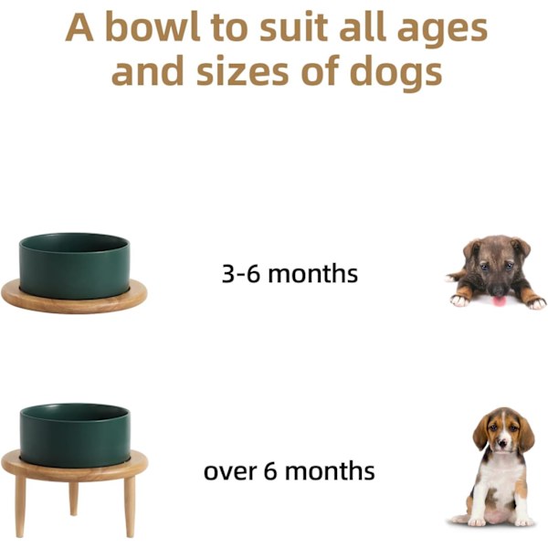 Förhöjd hundskål halkfri keramik hundskål justerbar höjd hund