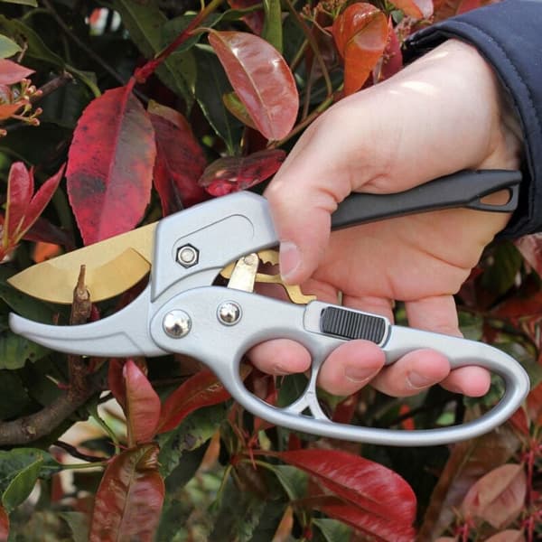 Titanium skralde beskæresaks