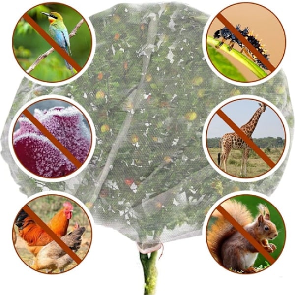 Havebeskyttelse Net til Planter - Beskyt Planter, Frugter og Blomster mod Insekter