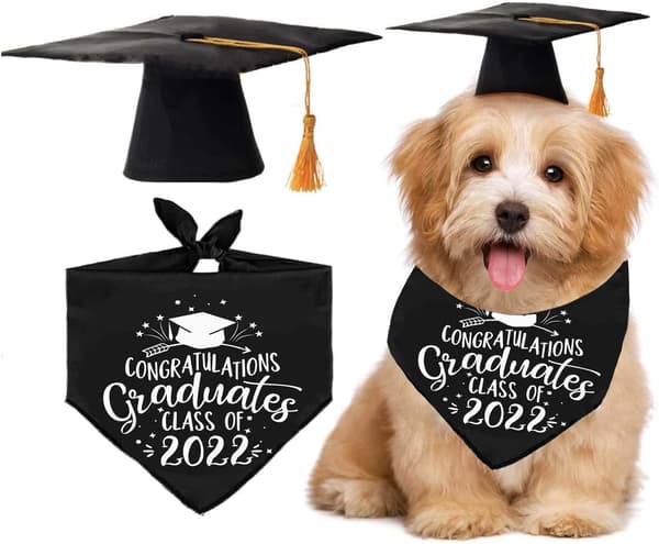 Hundegradueringshat