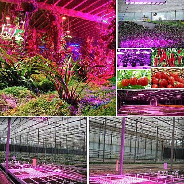 LED plantelysstrimler 5M med strømadapter og dimmer, rød