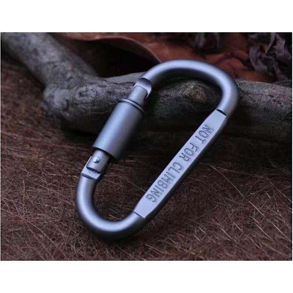 Micro 2 Mini karbinhake med skruvlock, 2-pack