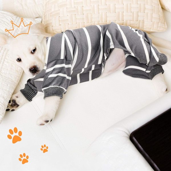 Hundpyjamas skjorta husdjur jumpsuit andningsbar husdjurskläder 4 ben hopp
