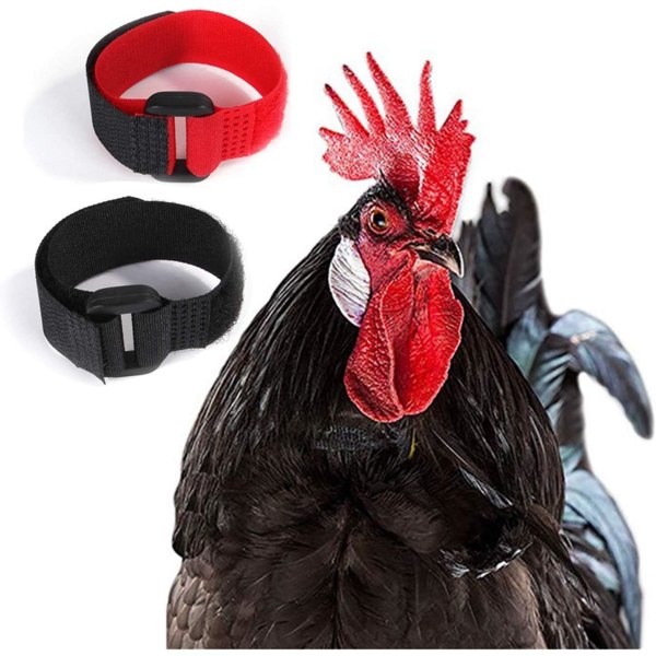 Hönan Anti-Crow Halsband Tupp Halsband Tupp Halsband