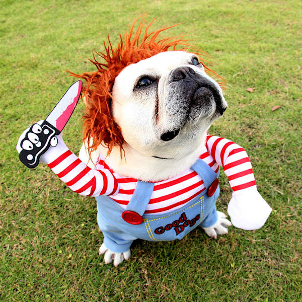 Kuolemanukkeasu koirille Pelottava Halloween Cosplay Chucky Nukke Koira-asu Hattu Hauska Juhlajouluvaatteet Sopii suurille ja pienille koirille，M