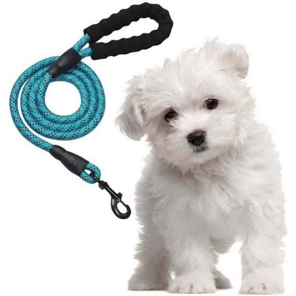 High Quality Adjustable Reflective Nylon Dog Leash 150cm for Larg