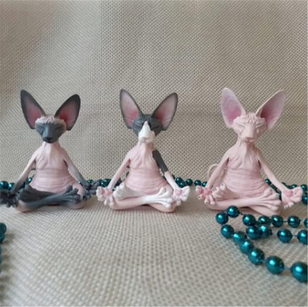Sphynx Kat Meditere Samleobjekter Zen Yoga Afslappet Pose B