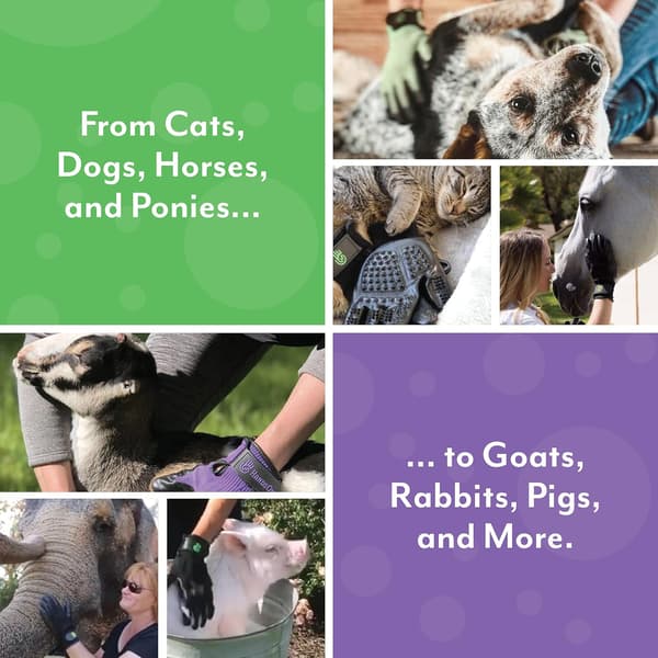 Pet Grooming Handsker - #1, Prisvindende Hverdagspelsfjerner