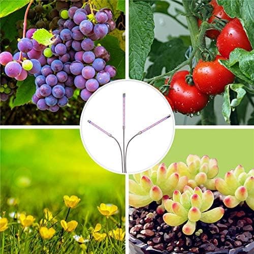 LED Hortikulturlampe til Vækst og Blomstring - Dyrk Sunde Planter Indendørs