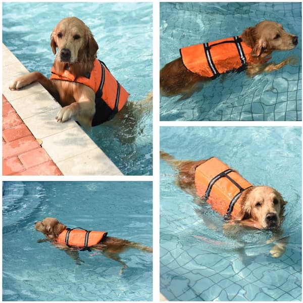 Hunde-redningsvest med reflekterende striper, justerbar