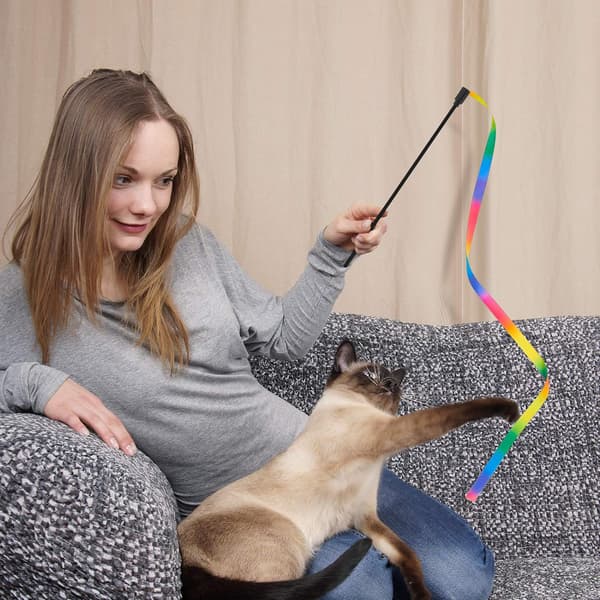 4 st Rainbow Cat Wand String Interaktiv Cat Wand Cat Stick T