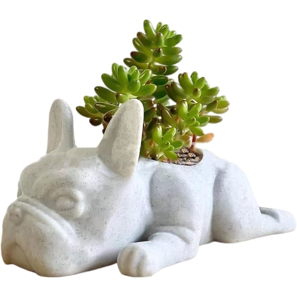 Hundeharpiksplantepotte,fransk bulldog sukkulentplantepottehvalp i potte