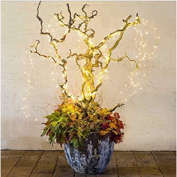Belysningsgren Ljus Plug in Fairy String Lights 9.8Ft 300leds