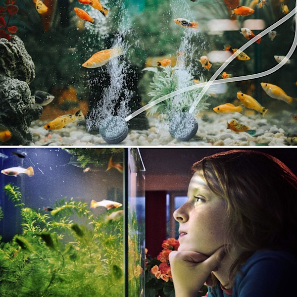 Solcelledrevet luftpumpe, akvariebelufter, dam-belufter med akvarie-ilt slange og luftsten (Sort)