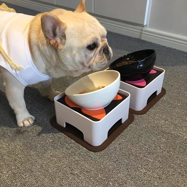 Bulldog skål halkfri hund katt matskål avtagbar gummibuldogskål Pe