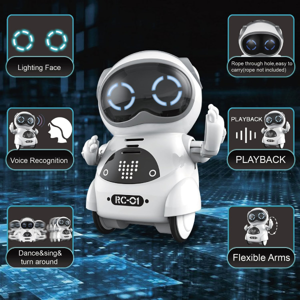 Mini Robot