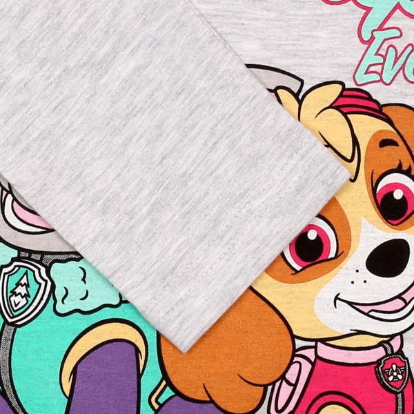 Paw Patrol Skye Everest Flickors Grå-rosa Pyjamas med långa ärmar, Pyjamas med långa byxor 128 cm