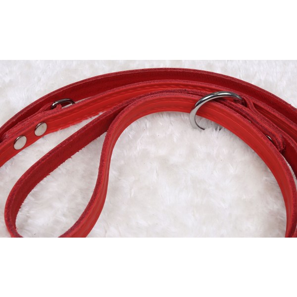 Röd, Vikbar Läder Hundkoppel 1.5/200 cm