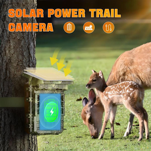 COOLIFEPRO SV-TCFSW Jaktkamera WIFI&APP 4K 60MP Vinkel 100° Nattvision 25m 2600mah Inbyggt batteri Med 32Go Kort