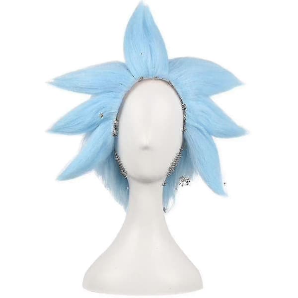Anime Paryk Hætte til Rick og Morty Ricky Sanchez Cosplay, Blå