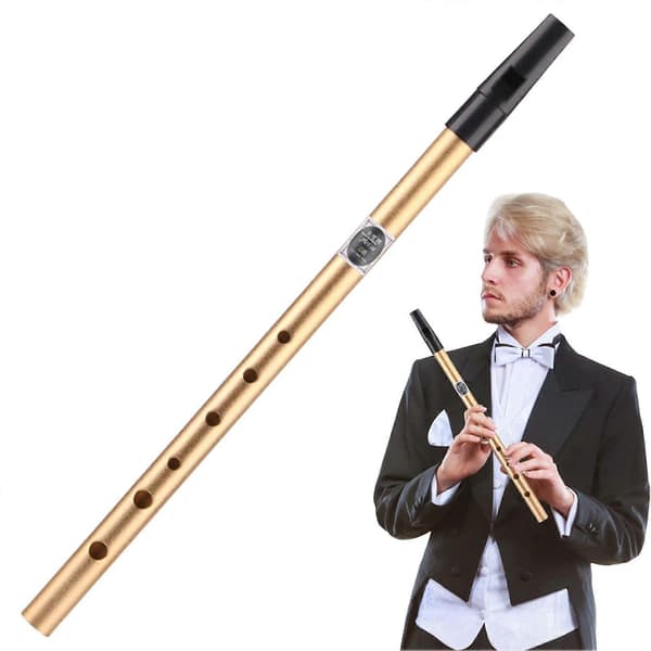 Håndpercussioninstrumenter, irsk tinfløjte til begyndere i D-dur