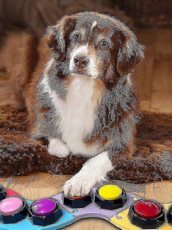 [13]Talking Pet Starter Kit Recordable Talking Button Dog Training Communication Toy New Hot_Newway_Good Stuff