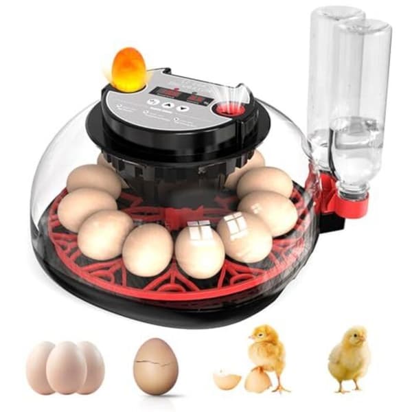 Automatic 12-Egg Incubator with Water Supply, Egg Turner, Temperature and Humidity Control, Hatching Machine