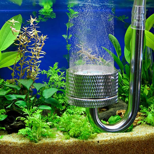 Høy Co2-oppløsningshastighet med akvarium Co2-diffusor i rustfritt stål, trykksatte Co2-forsyningssystemer som sikrer optimal drift