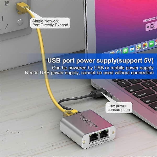 Ethernet Splitter 1 til 2 Højhastigheds Gigabit Ethernet Switch 2 Port Internet RJ45 LAN Splitter til C Silver