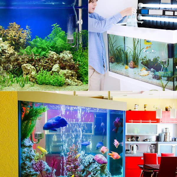 Høy Co2-oppløsningshastighet med akvarium Co2-diffusor i rustfritt stål, trykksatte Co2-forsyningssystemer som sikrer optimal drift