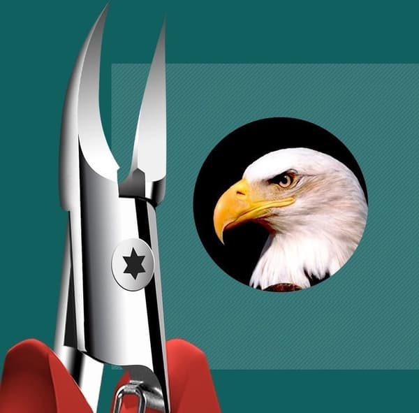 Extra Strong Nail Clipper | Eagle Beak Pliers | Head Clipper | For Thick Nails, Toenails, Ingrown Nails | Nail Clipper | Dead Skin Cutter |