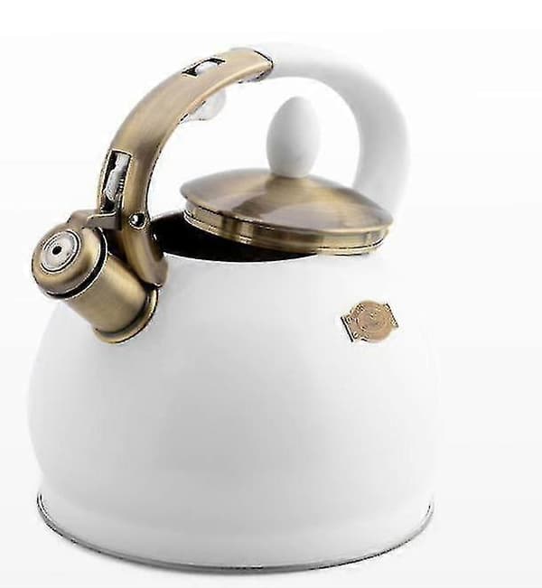 Metal Kettle, Heat Resistant, Luxury, White Gas Kettle, Teapot