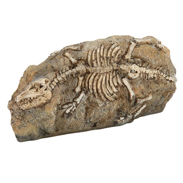 Akvarium Dinosaur Fossil Dekorasjon Harpiks Reptil Gjemmested