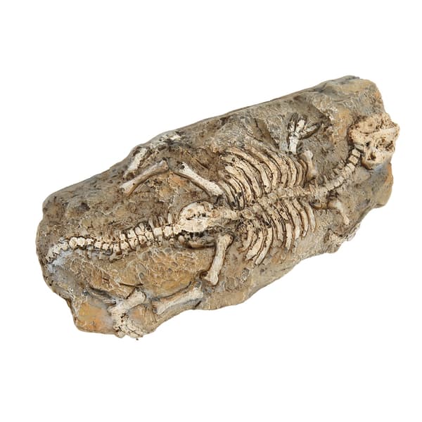 Akvarium Dinosaur Fossil Dekorasjon Harpiks Reptil Gjemmested
