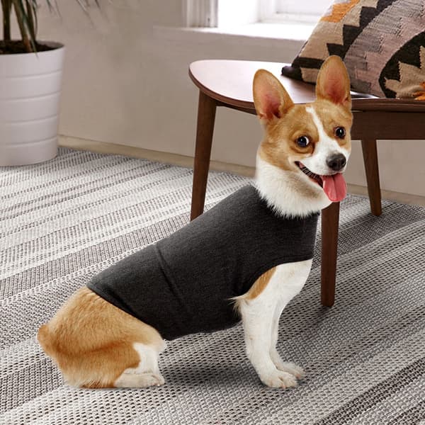Mörkgrå Ångestdämpande Stressreducerande Hundtröja Storlek S