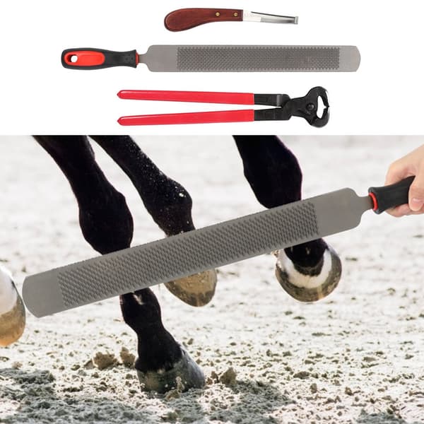 Professionell hovtång för hästar