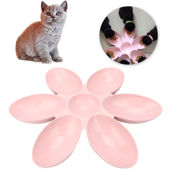 Bæredygtig Foder- og Vandskål med Seks Blade til Katte Hunde Generel Pink