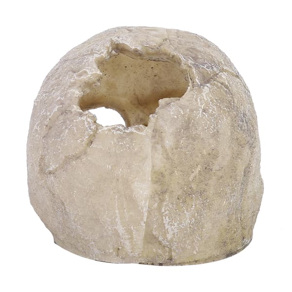 Kranie Statue Krybdyr Hule Akvarium Akvariedekoration